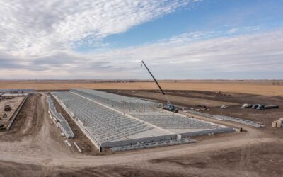 FIRST ALL-STEEL SWINE BARNS TO PROVIDE IMPROVED EFFICIENCY AND ANIMAL HEALTH